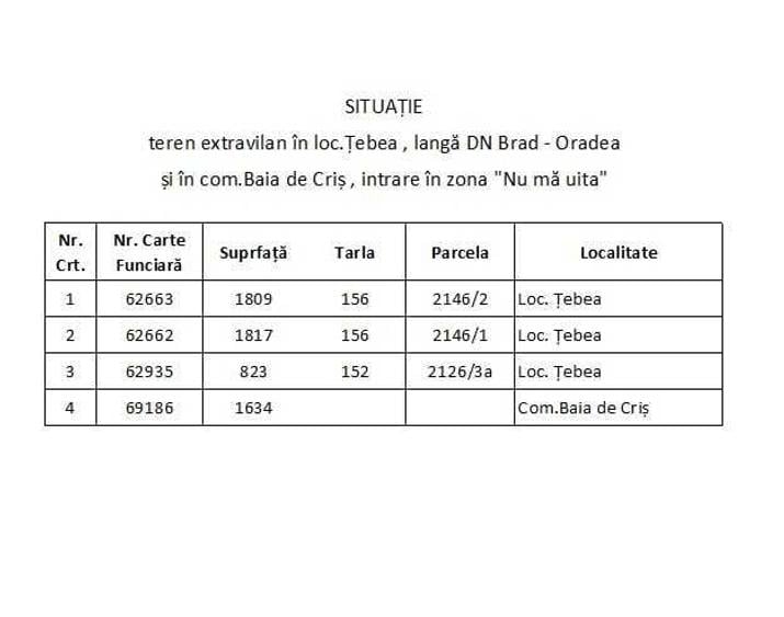 Teren de 6080 mp, în Țebea