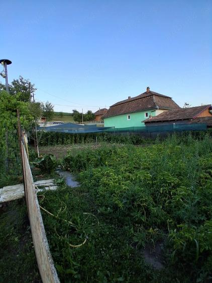 Casă cu Teren 1000 Mp în Central