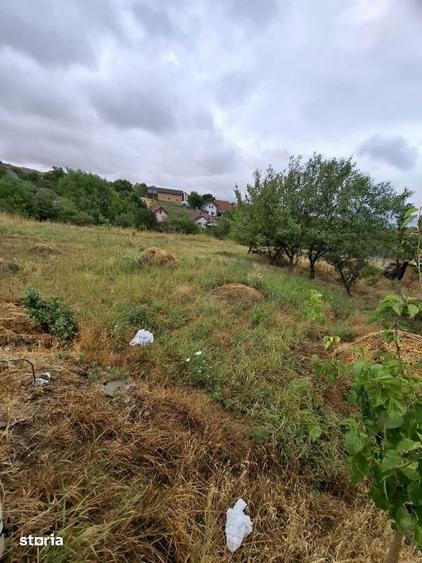 Teren de 1260 mp, în Giarmata