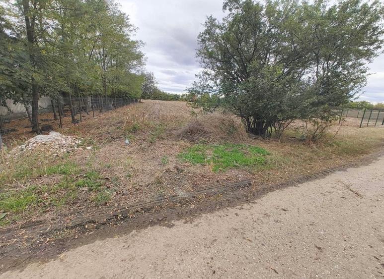 Teren Construcții intravilan de 3700 mp, în Balta Doamnei