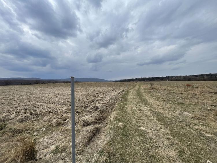 Teren agricol extravilan de 2300 mp, în Horodnic de Sus
