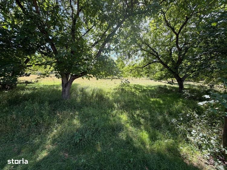 Teren intravilan Parcul Stupina - Cisnadie - 2