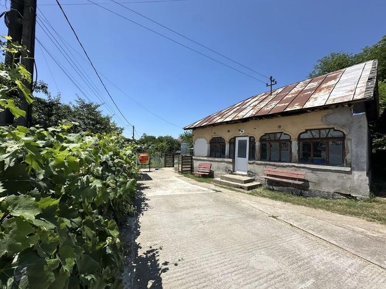 Casă cu 2 camere în Mareș