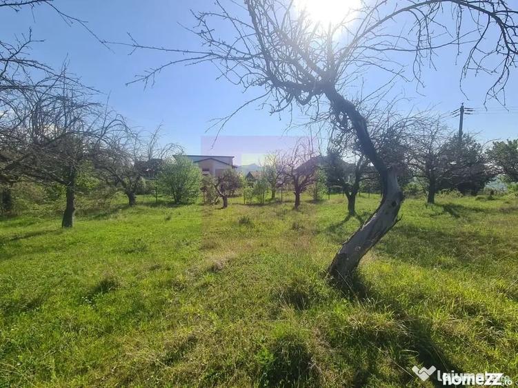 Teren de 2500 mp, în Voila
