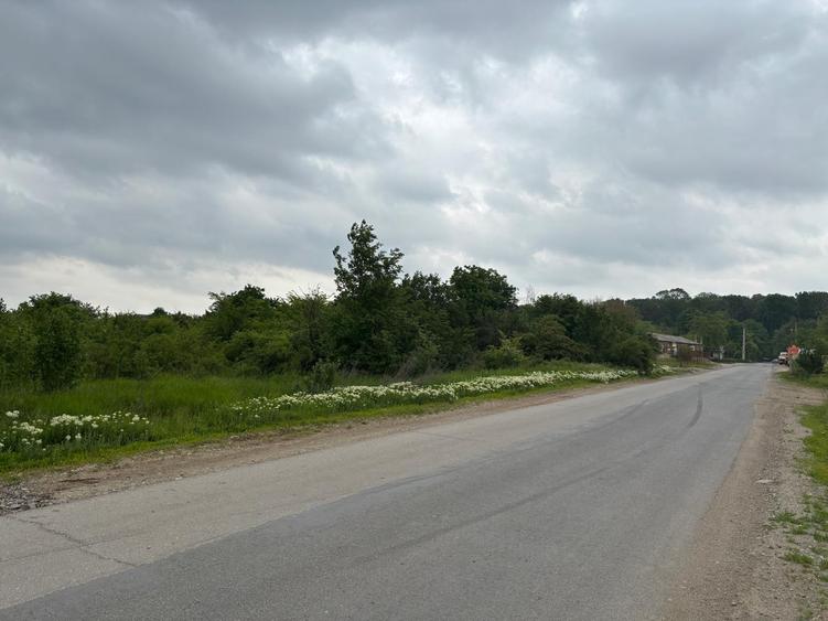 Teren 1000 mp în Mogoșoaia, la 5 minute de pădure - 12