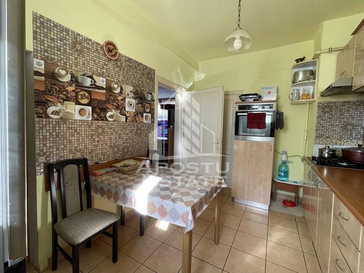 Casa Freidorf Timisoara - 3