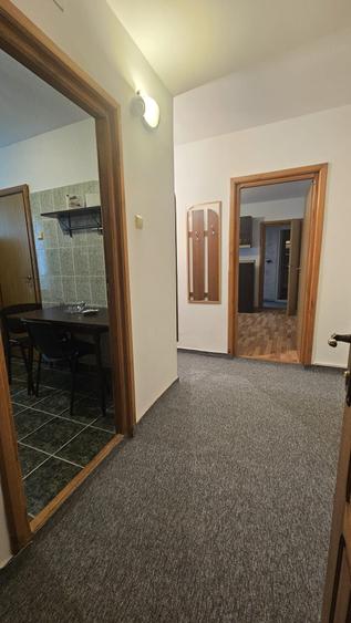 apartament de inchiriat - 7