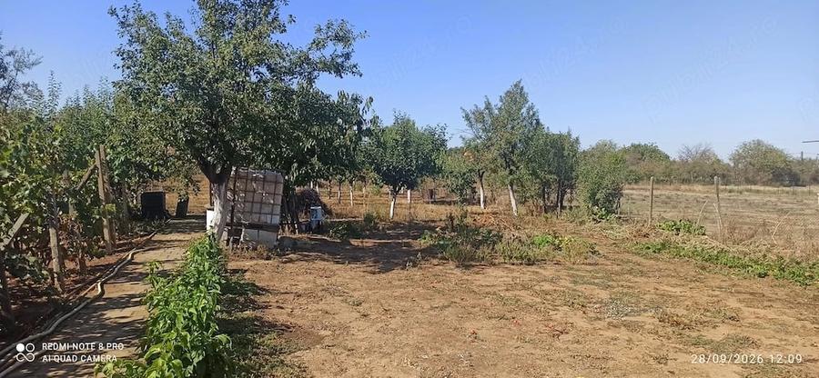 Casă cu Teren 2259 Mp în Ghioroc