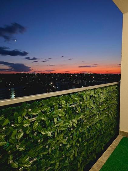 Apartament cu 2 camere nedecomandat în Vișan