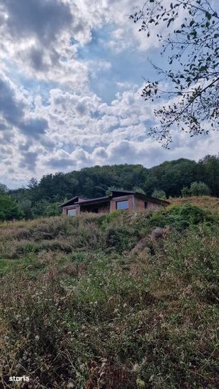 Casă cu 4 camere în Vlădești