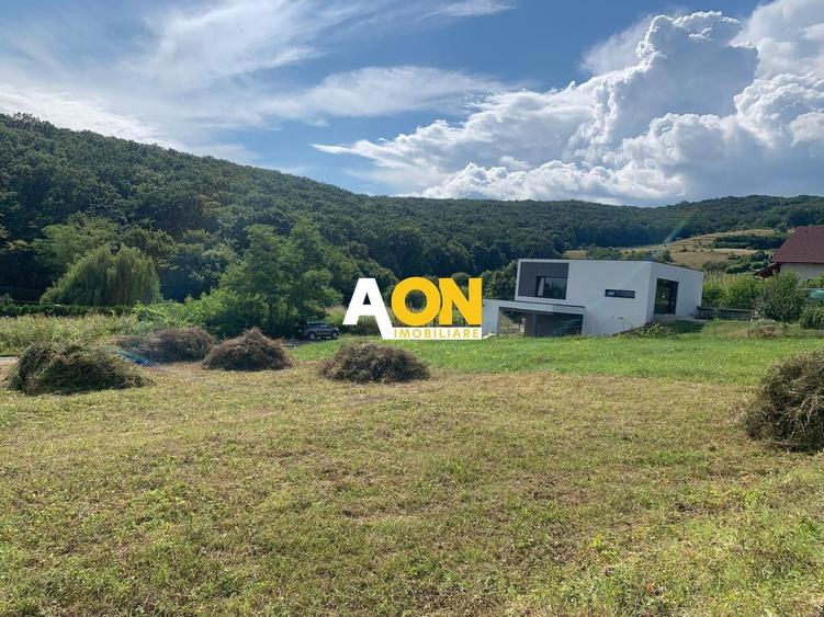Teren Construcții intravilan de 675 mp, în Cetate