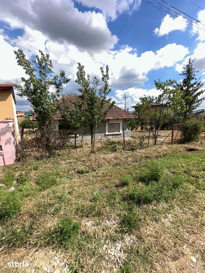 Teren Intravilan,Viile Satu Mare - 9