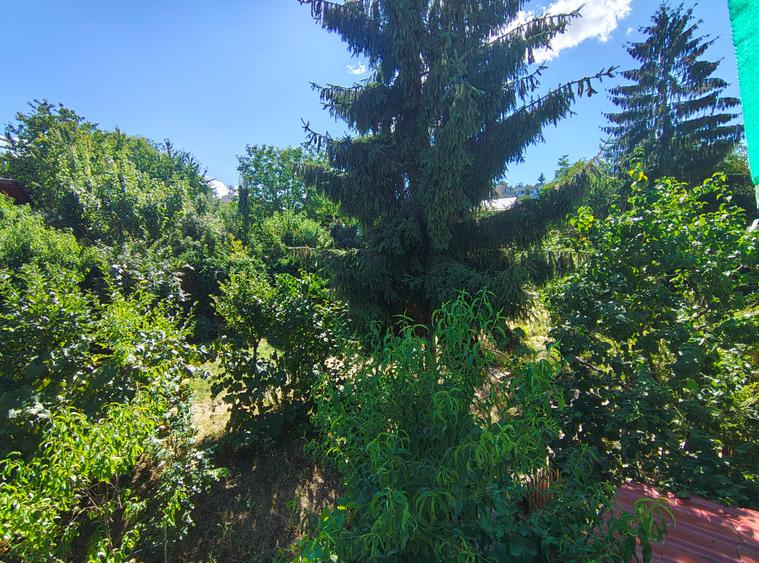 De vânzare Apartament 1 cameră | 42 mp | Gruia - 13