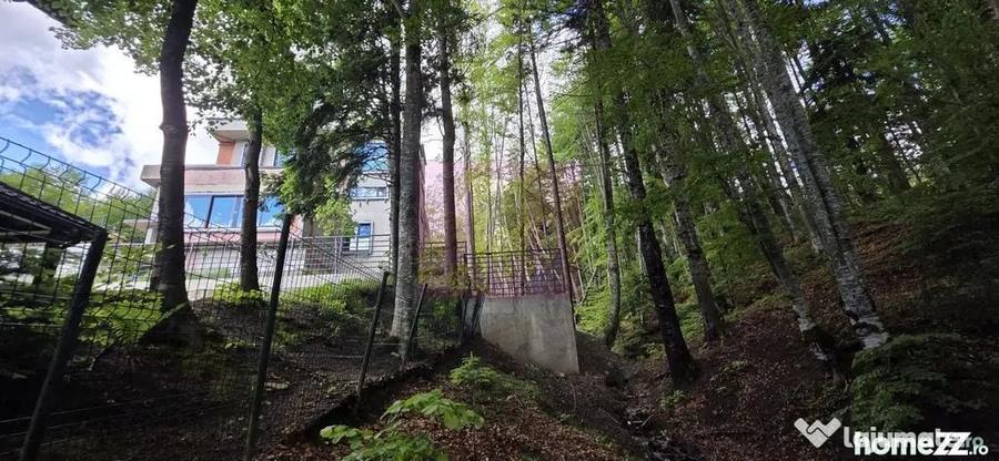 Teren în Furnica