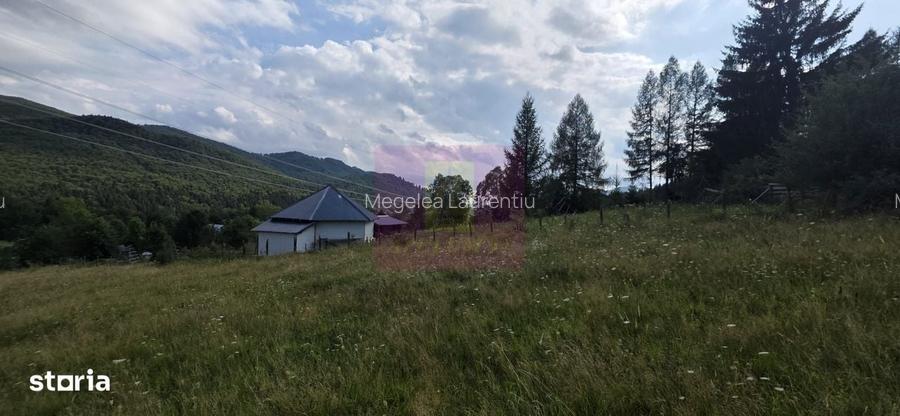 Teren intravilan de vanzare 3500 mp in Valea Doftanei