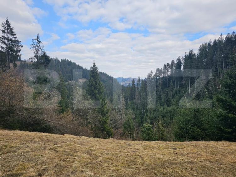 Teren Construcții intravilan de 22267 mp, în Scărișoara