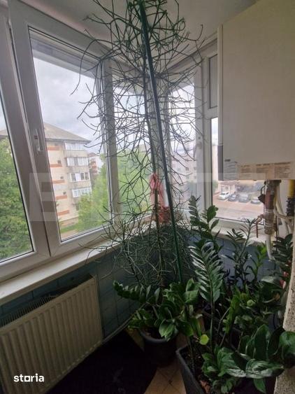 Apartament cu 2 camere decomandat în Obcini