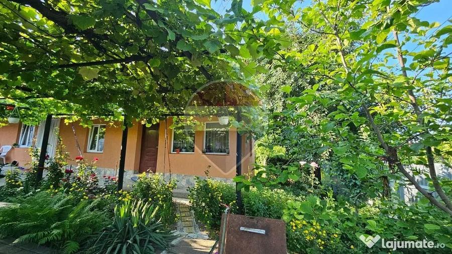 Casă cu 3 camere cu Teren 1043 Mp în Dochia