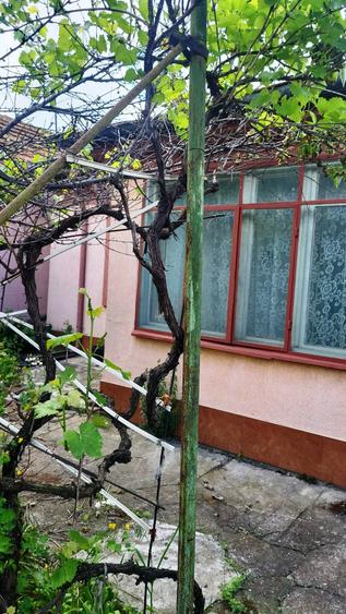 Casă individuală cu 3 camere cu Canalizare în Micro 5