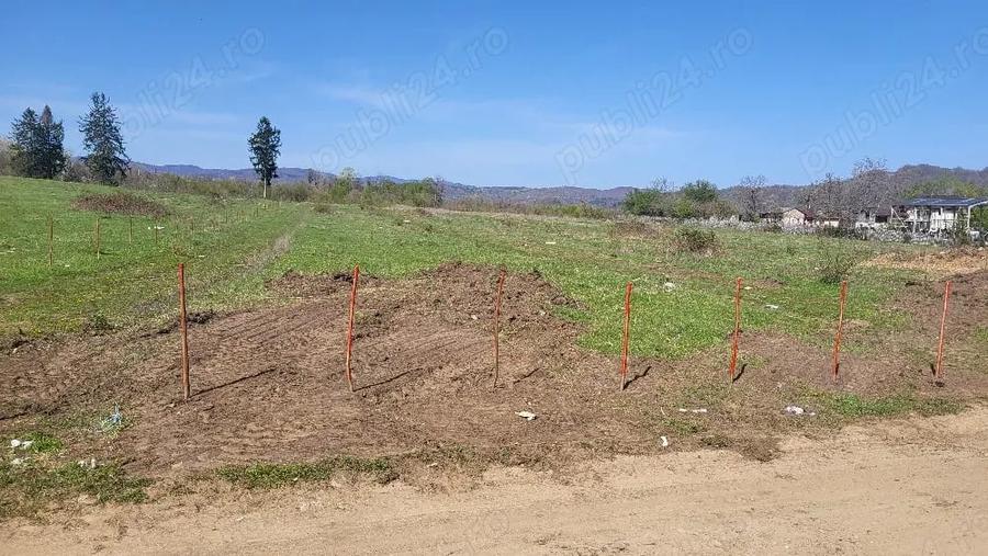 Teren de 7500 mp, în Voila