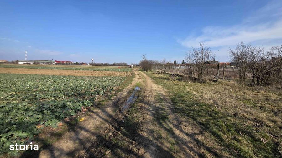 Casă cu 3 camere cu Teren 4041 Mp în Roșiori