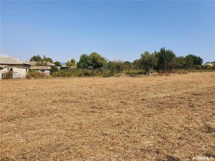 Teren de 4800 mp, în Pecineaga