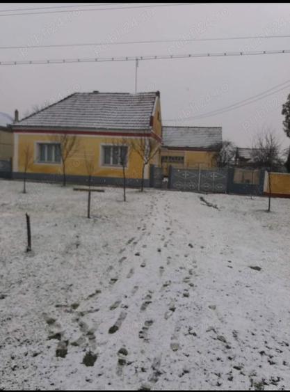 Casa de vanzare in Alio? jude?ul Timi? - 1