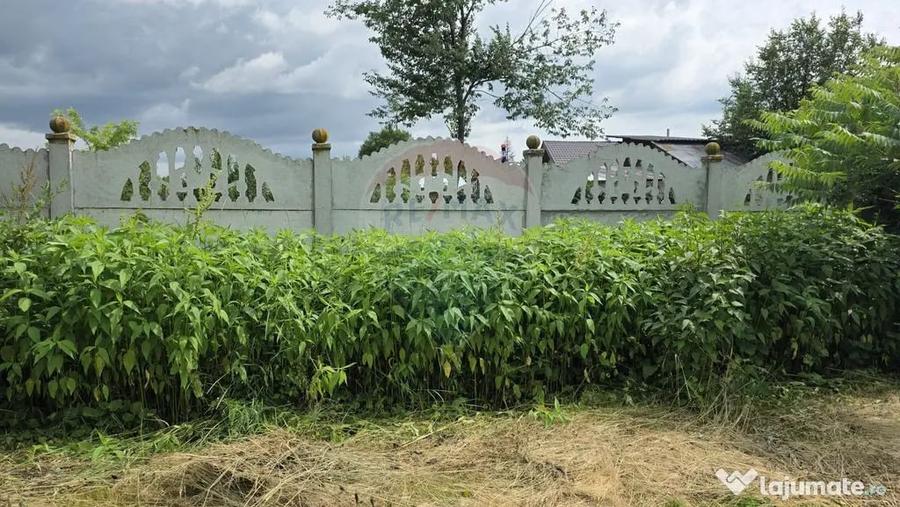Domeniu rural, gospodarie/multifunctionala cu casa, livad... - 6