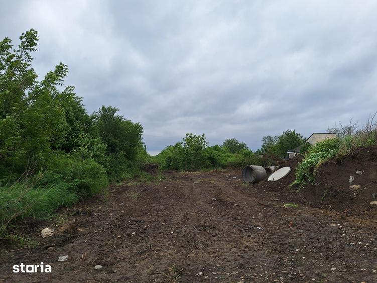 Teren de 650 mp, în Mărgineni