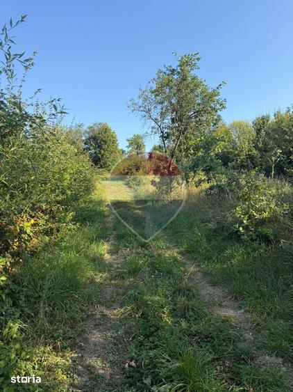 Teren de 1350 mp, în Cernești