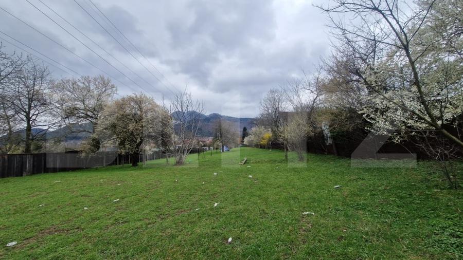 Teren Construcții intravilan de 4300 mp, în Baciu