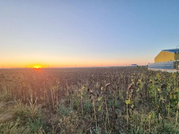 Teren agricol extravilan de 10000 mp, în Limanu