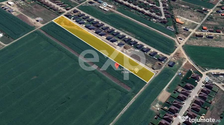 Teren 10.000mp parcelat Balotesti - 1