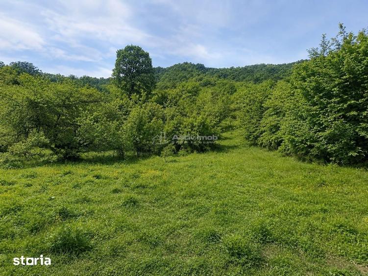 Teren de 5967 mp, în Tălmaciu