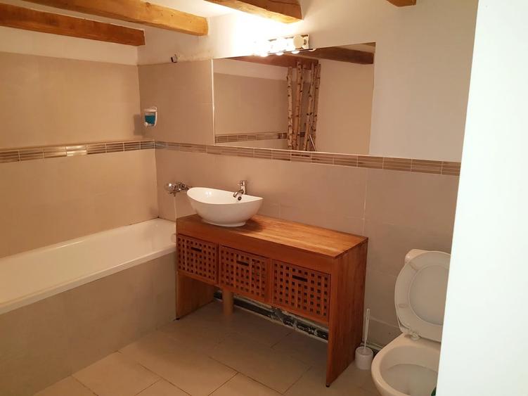 Apartament modern de închiriat zona UMF si USAMV - 4