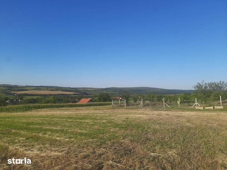Teren de 894 mp, în Central