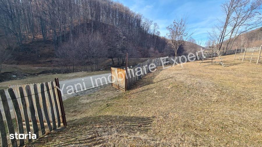 Teren de 4681 mp, în Cicănești