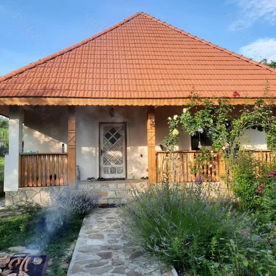 Casă cu 4 camere cu Teren 1415 Mp în Drajna