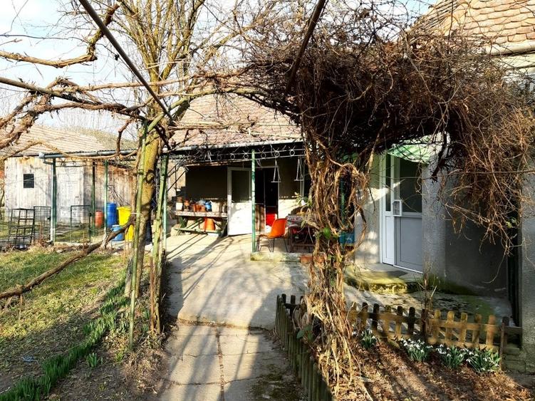Casă cu 5 camere cu Teren 46000 Mp în Coroi