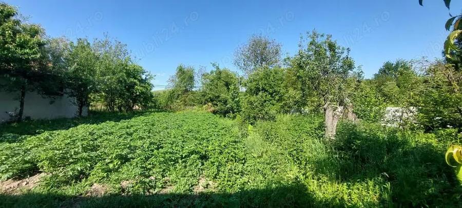 Casă cu 6 camere cu Teren 1500 Mp în Valea