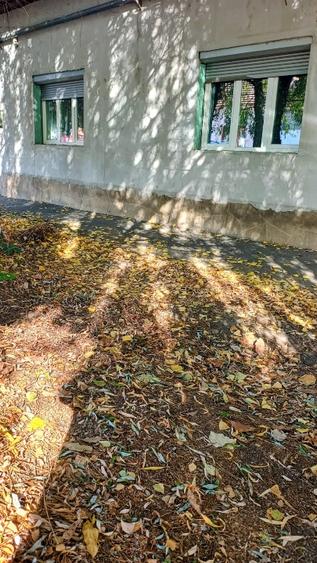 Casă cu 5 camere cu Teren 980 Mp în Central