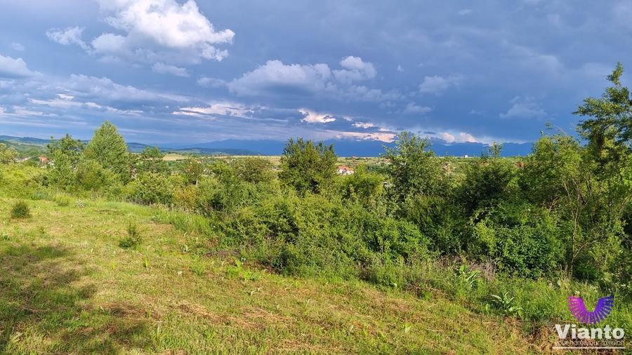 Teren Construcții intravilan de 1000 mp, în Daia