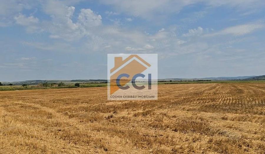 Teren intravilan 50.000 mp, Bacau, ?oseaua Hol - 8