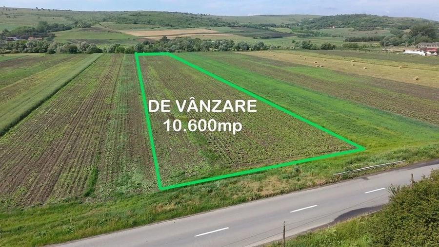 Teren de 10600 mp, în Borșa