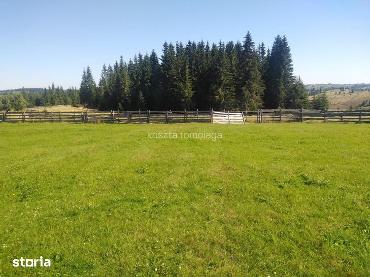 Teren intravilan in Maguri, 3538 mp,zona excelenta, cu potential !