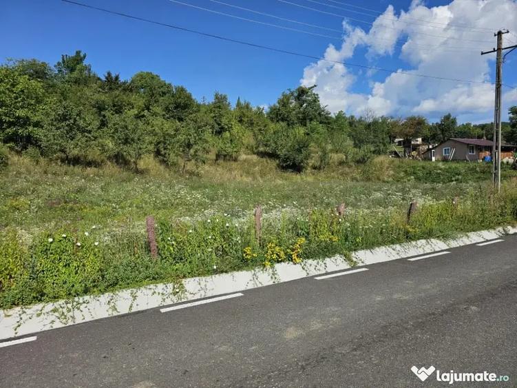 Casă cu 7 camere în Mărunțișu