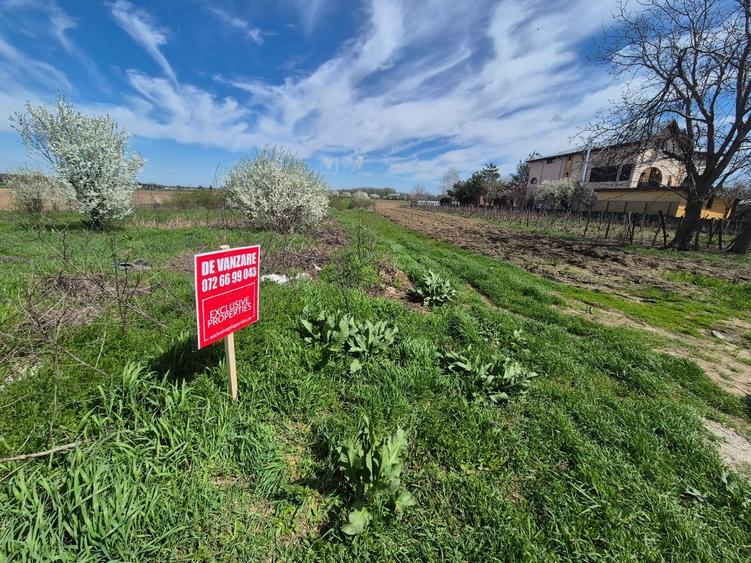 Teren agricol intravilan de 10300 mp, în Bolintin-Deal