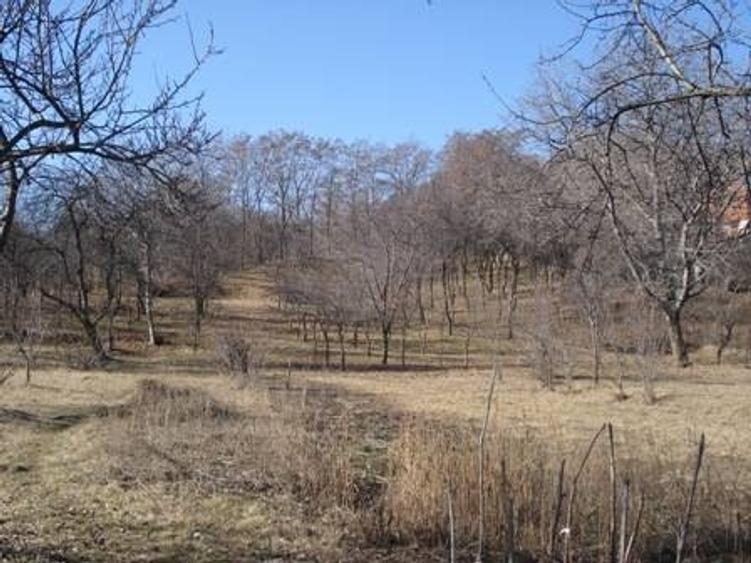 Teren intravilan de 1787 mp, în Breaza de Sus