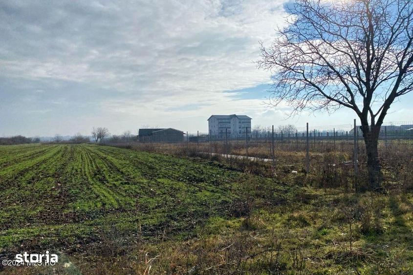 Teren de 2409 mp, în Afumați