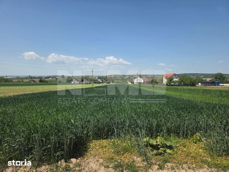 Teren de 2600 mp, în Mitocu Dragomirnei